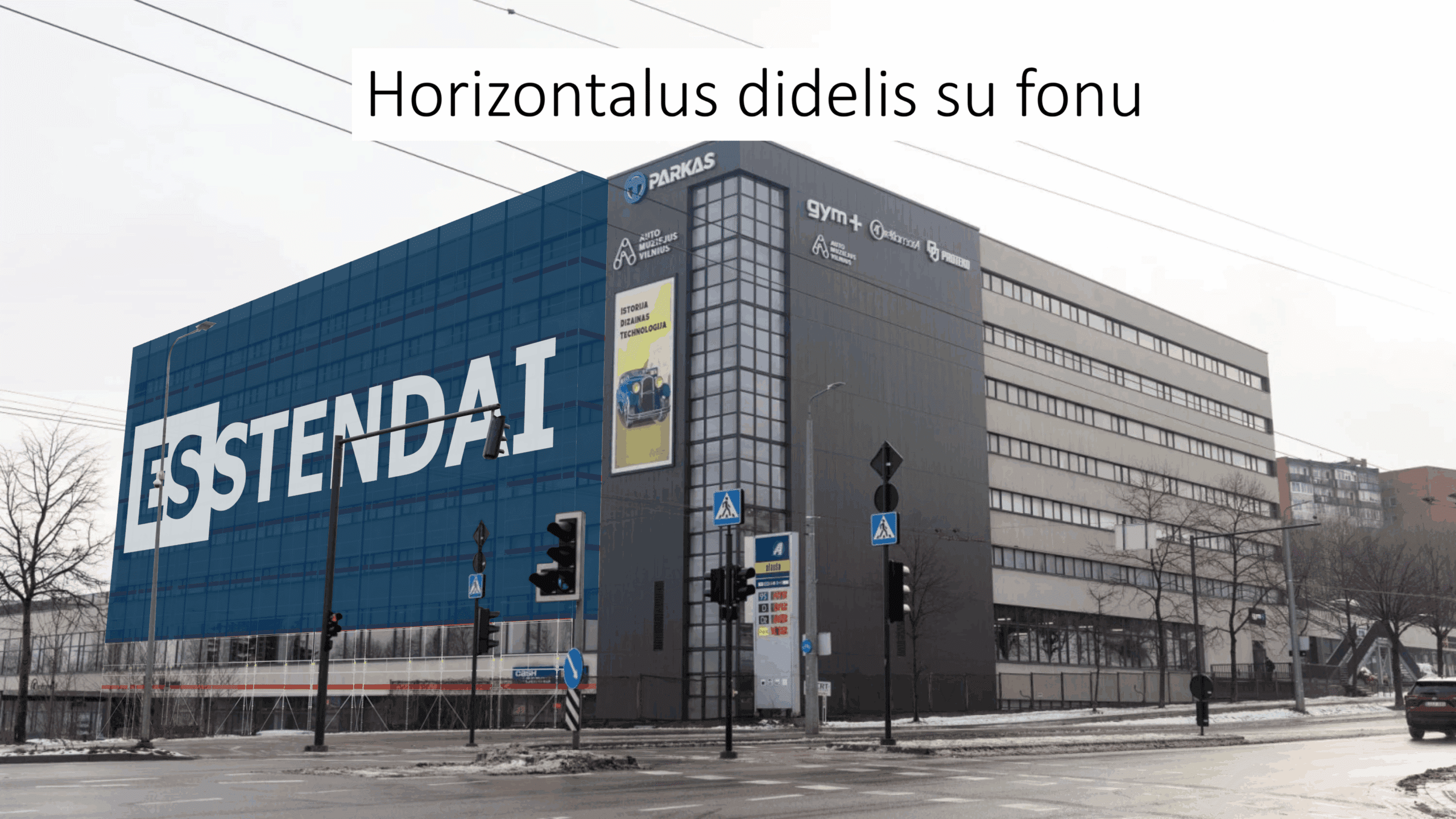 2. Horizontalus Centruotas Logotipo Išdėstymas Invertuotos Logotipo Spalvos